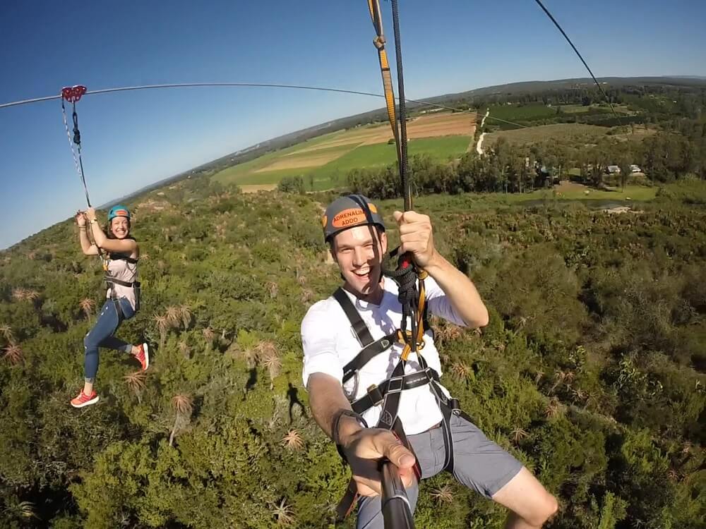 addozipline (1) addozipline (1)